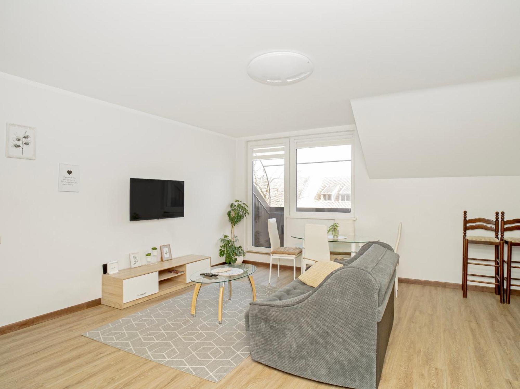 Kaunas Castle Apartments - 2 Bedroom Flat Εξωτερικό φωτογραφία